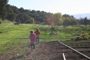 kids playing at farm