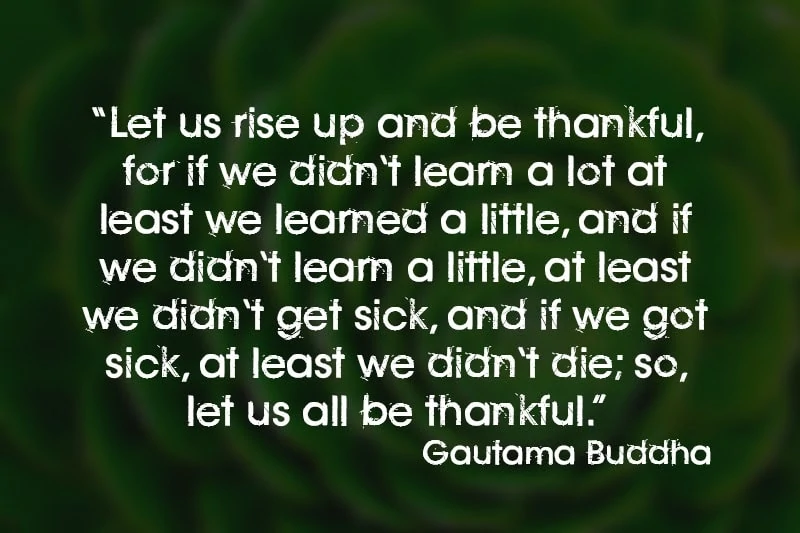 gratitude quote by Gautama Buddha