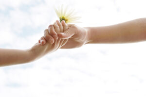 two girls hands holding a flower