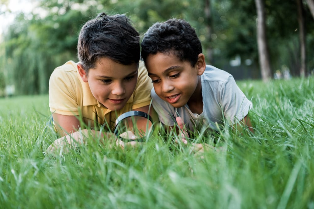 boys using magnifying glass to look at something in grass