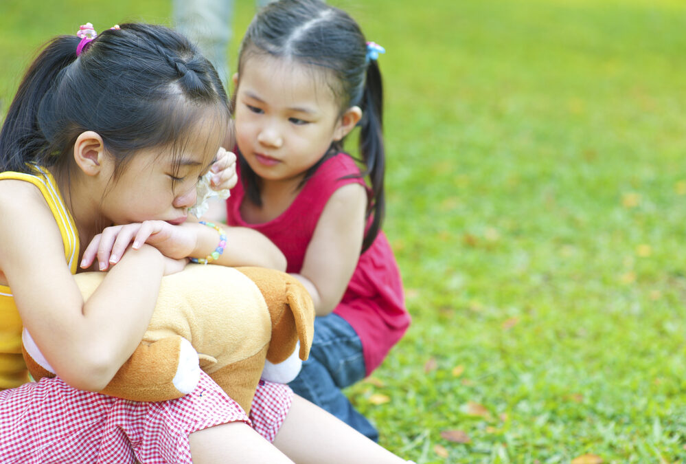 The Start of Empathy: Helping Children Learn to Identify & Work with Feelings